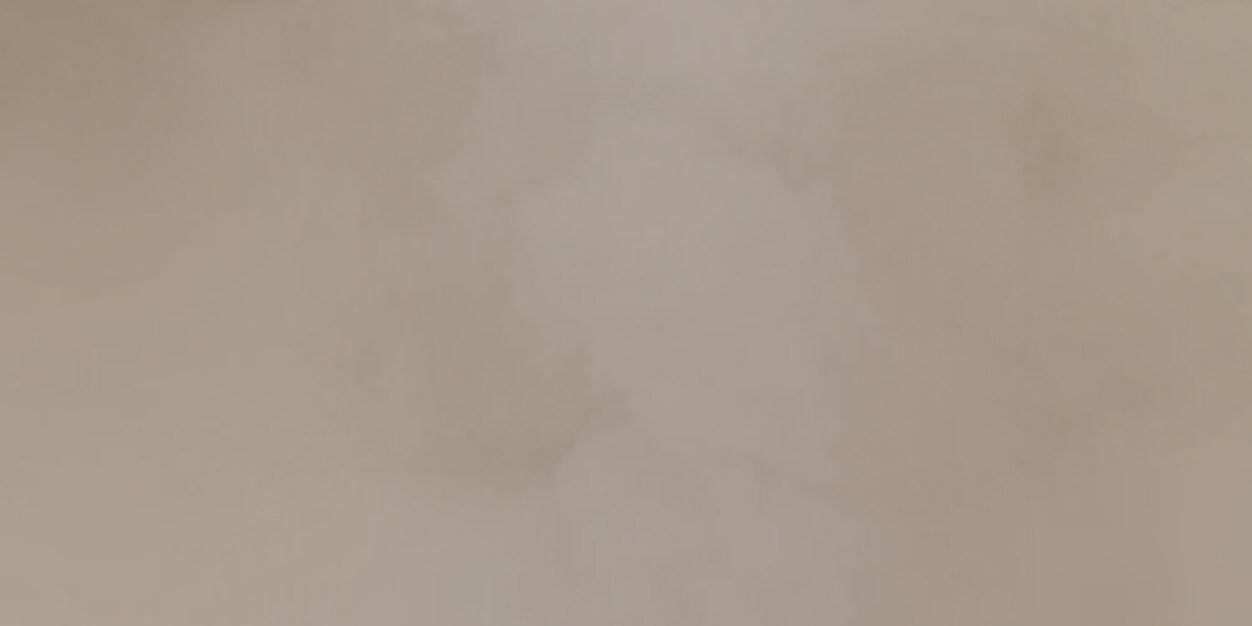 nessadangdr's profile banner image
