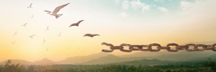FionaJoy banner