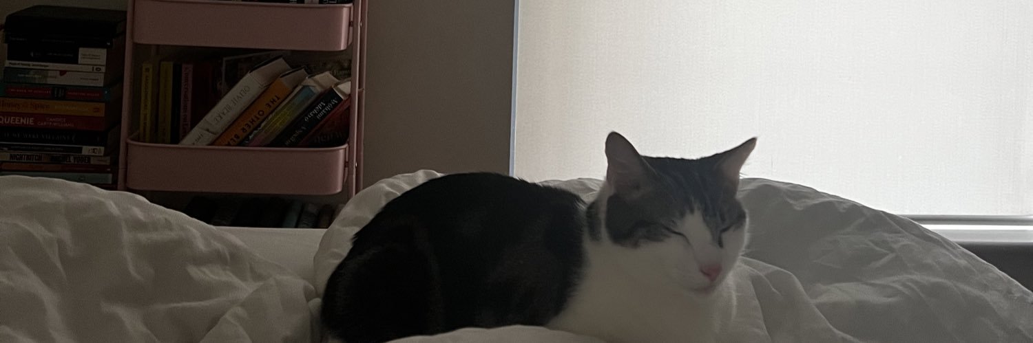 b0latit0's profile banner image