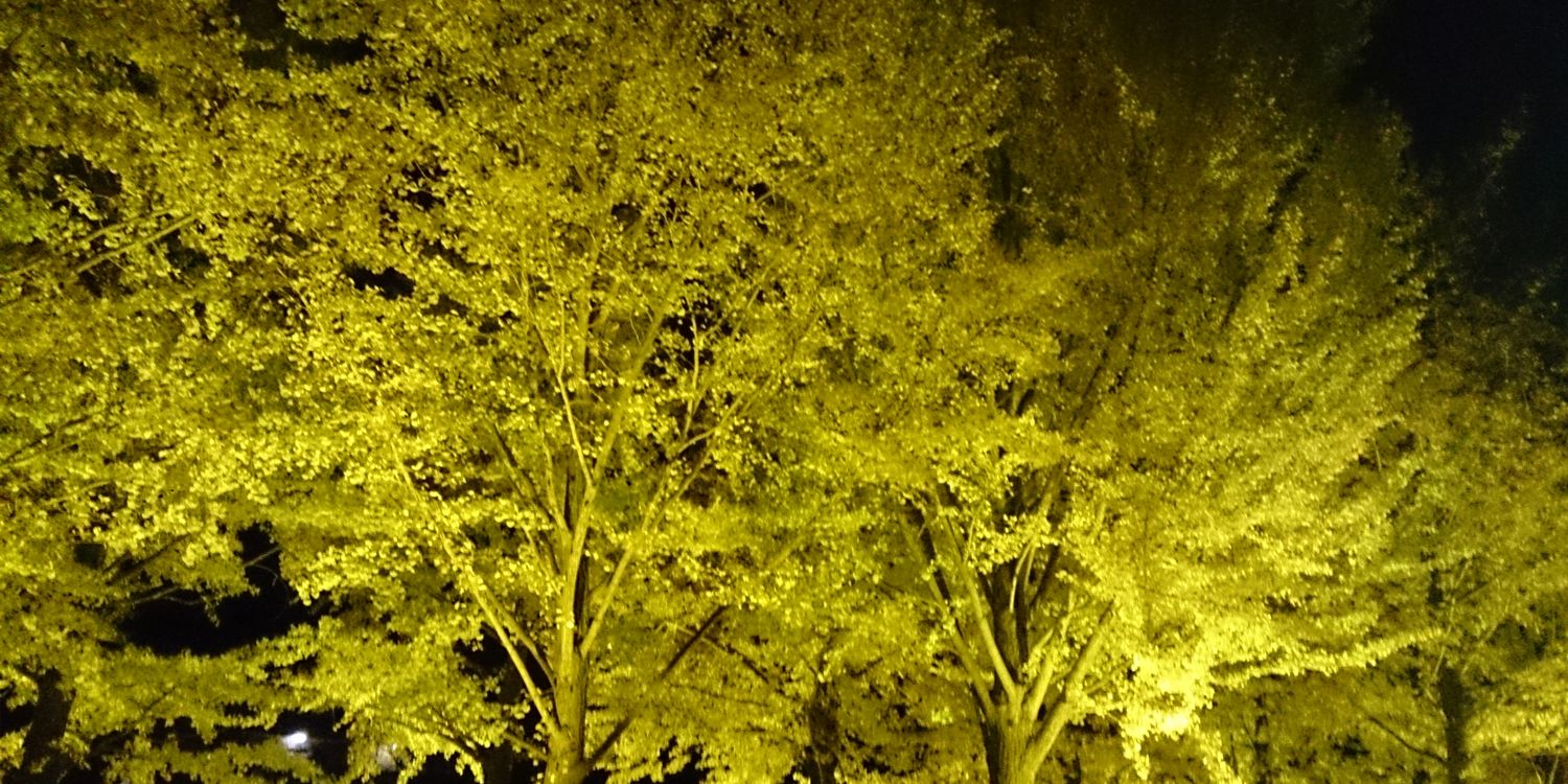 ktmspi's profile banner image