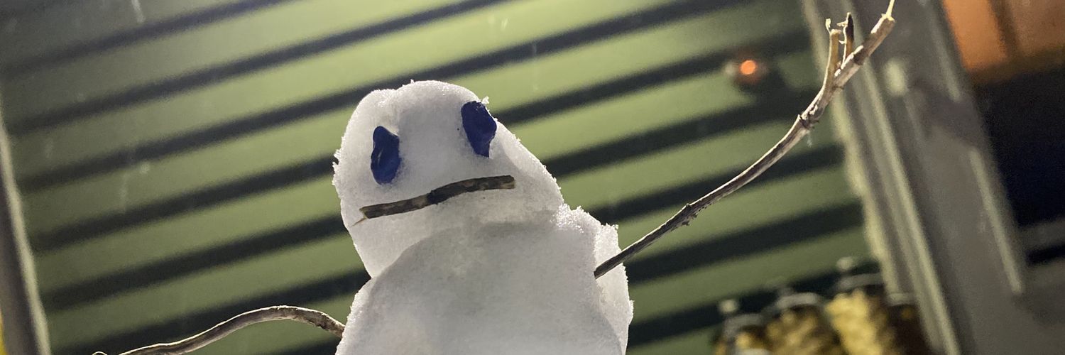 BullishCivics's profile banner image