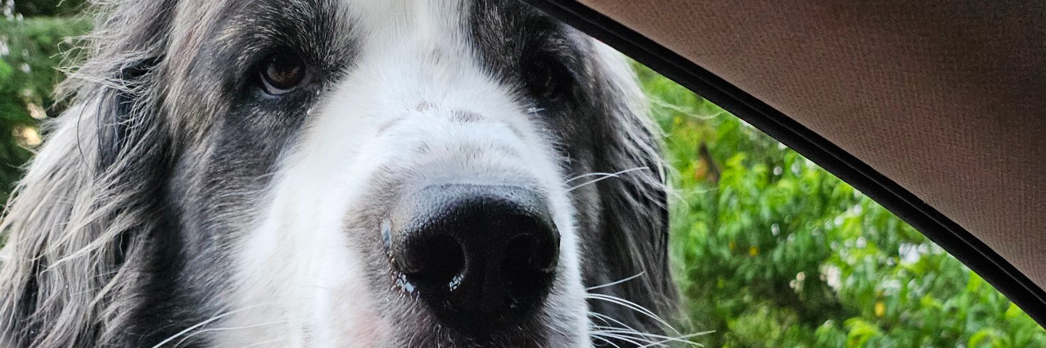 Ryan R. Bradley banner