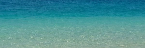 wakapippi Profile Banner