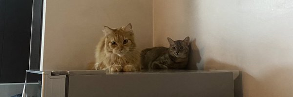 alwaysgooddays Profile Banner