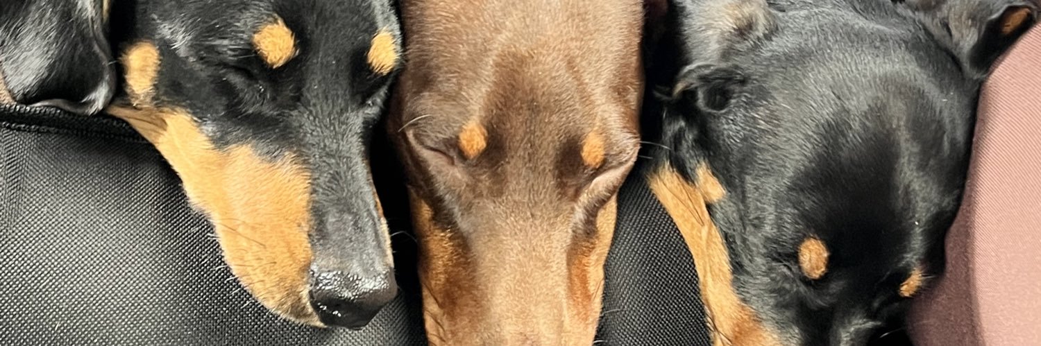 bellaboo39's profile banner image