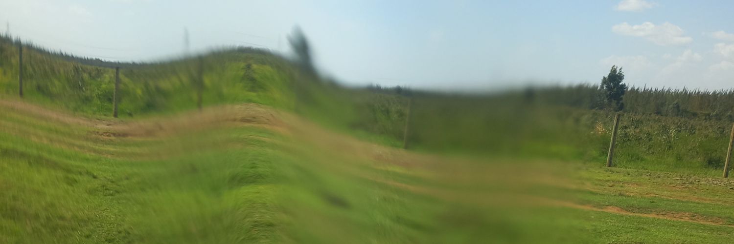 collotoo's profile banner image