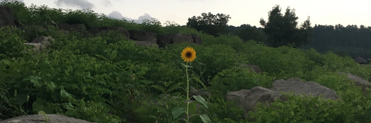 いもむし banner