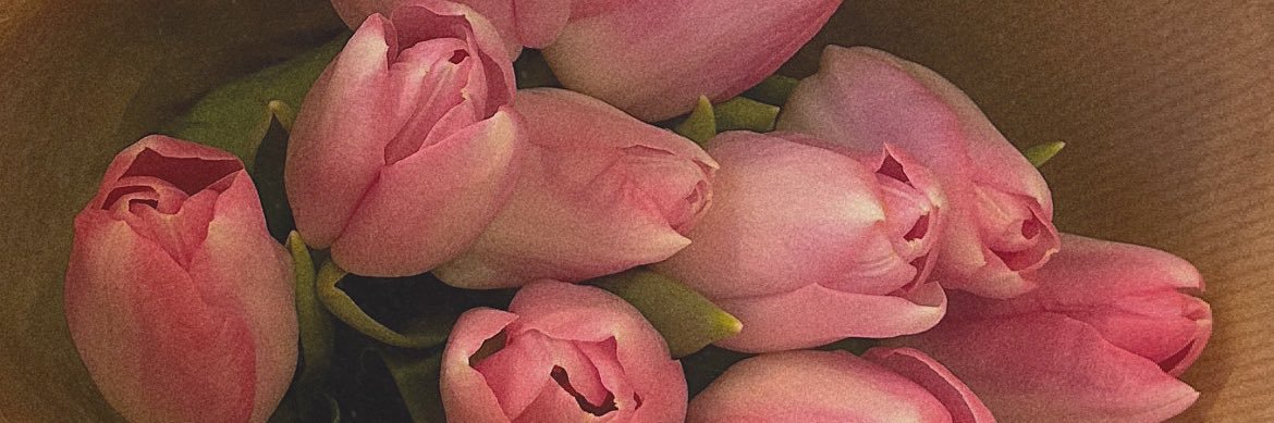 mathildelvrr's profile banner image