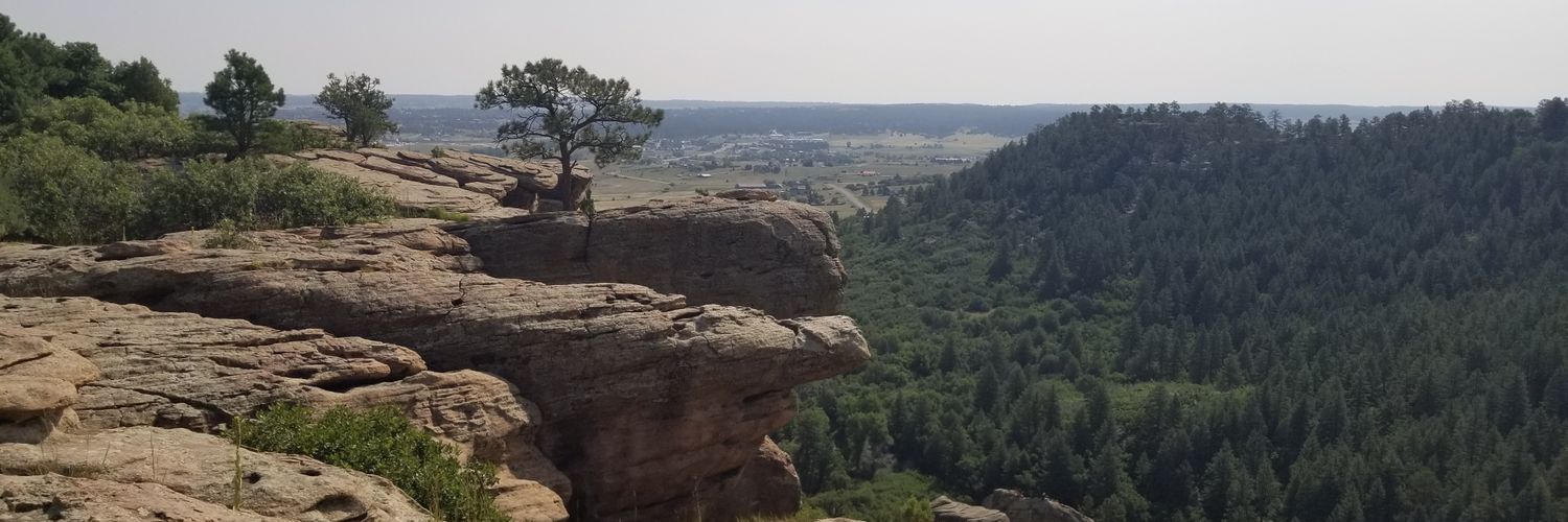 Patti Scharf, CPA banner