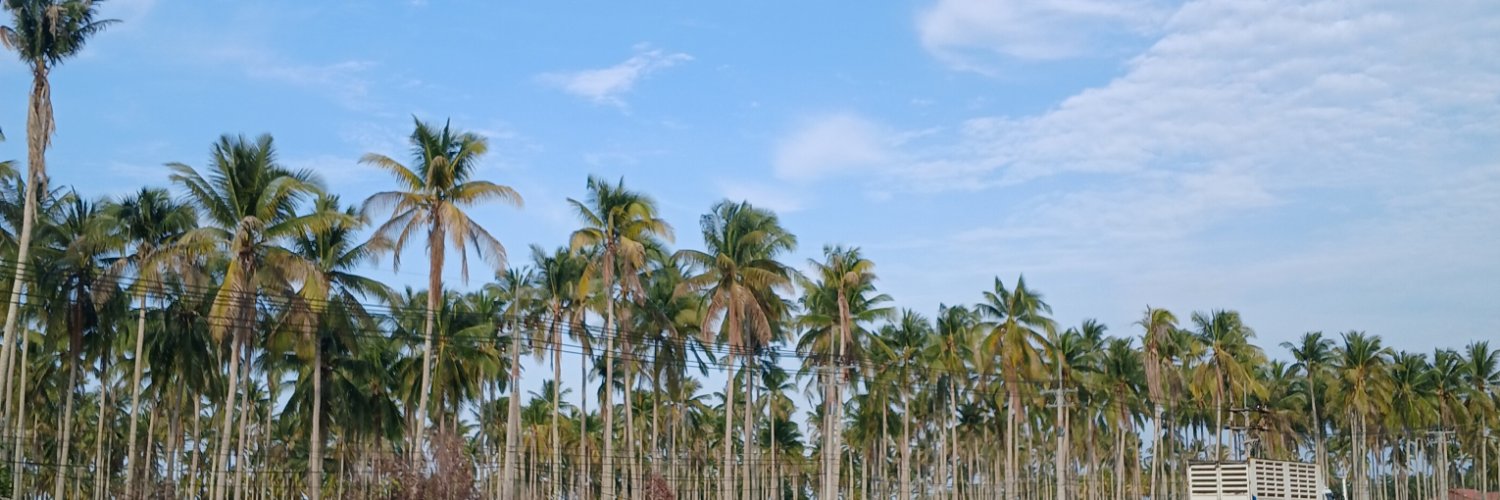 nannienanneyk's profile banner image