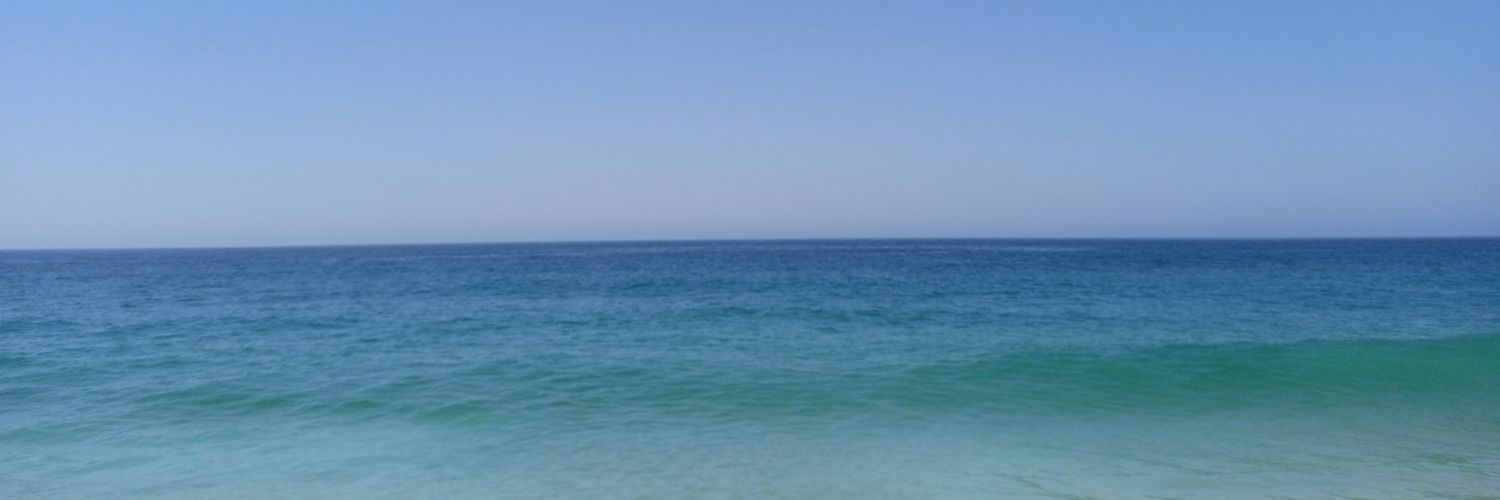 Elena banner