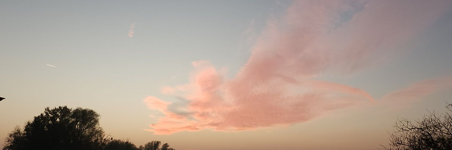 vi_sph's profile banner image