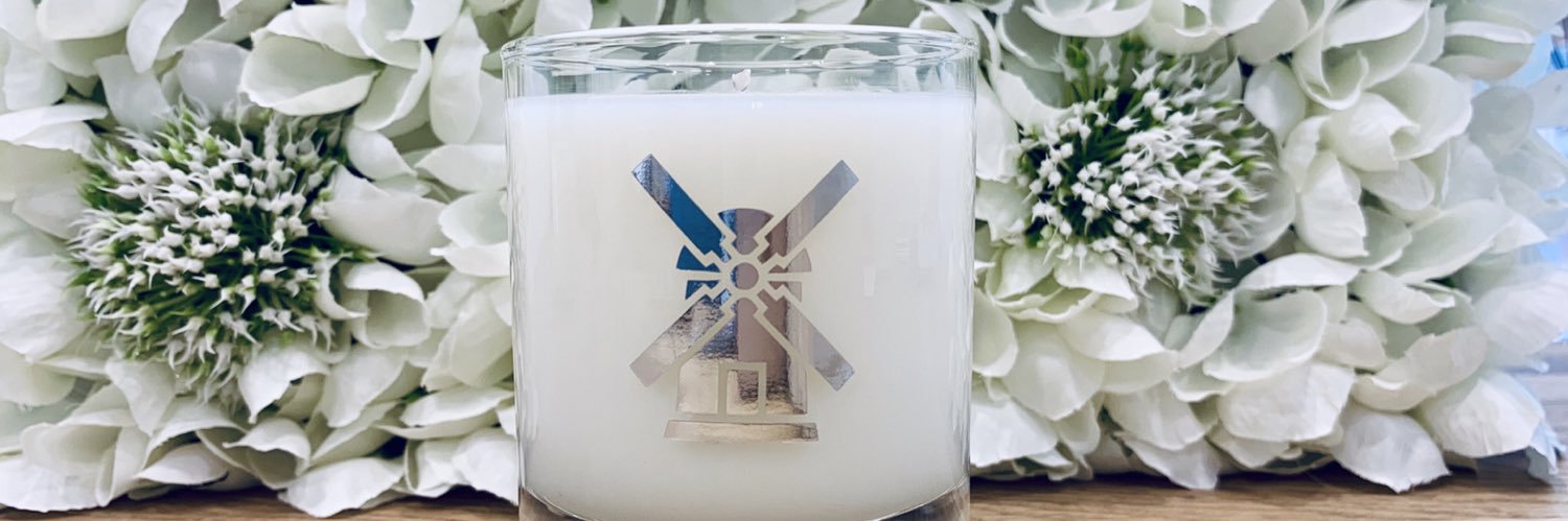 Millie & Mini banner