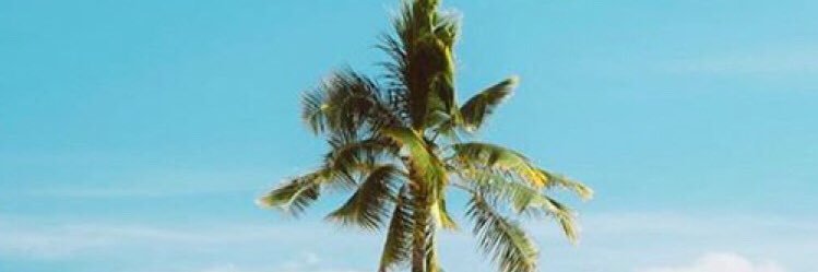 itsives's profile banner image