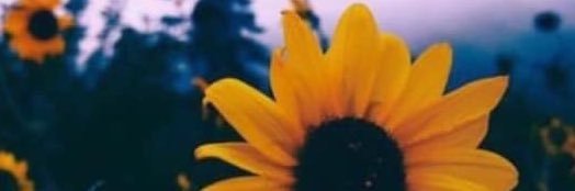 KaitMarH's profile banner image