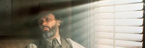 siebertws13's profile banner image