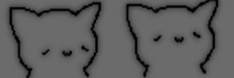 Amina_kitty2's profile banner image