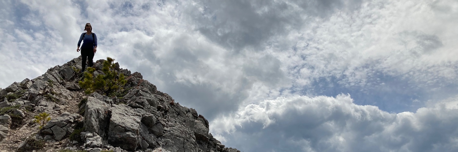 Sadie Freeman banner