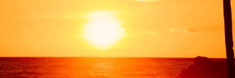 04078919's profile banner image