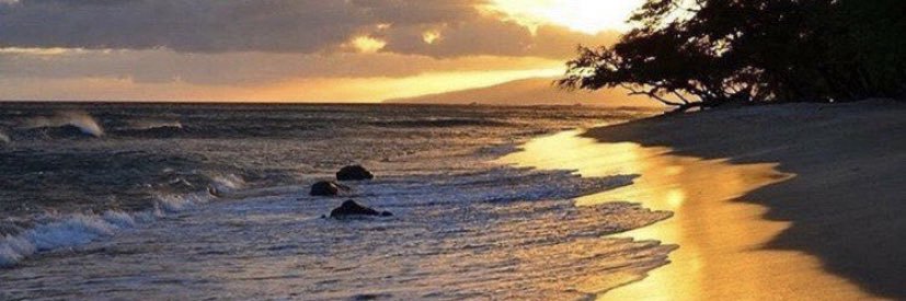 toti_2ot's profile banner image