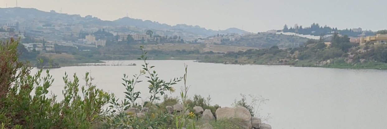 علي العرفجي banner