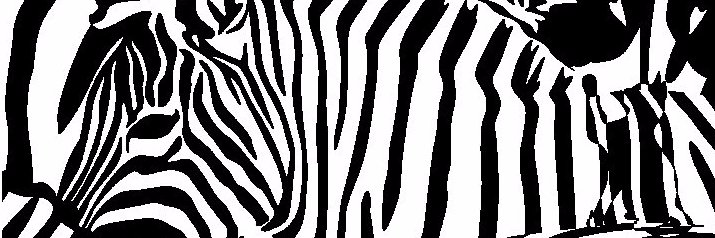 kittylulabelle's profile banner image