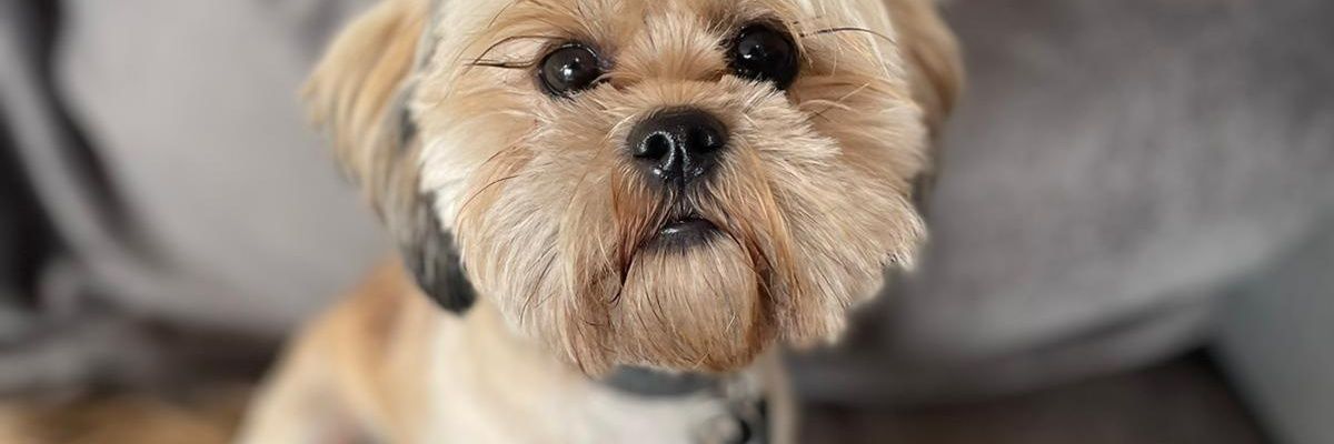jenfrew's profile banner image