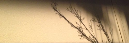 Flowevr's profile banner image