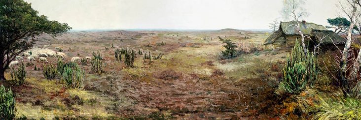VVDdeKempen's profile banner image
