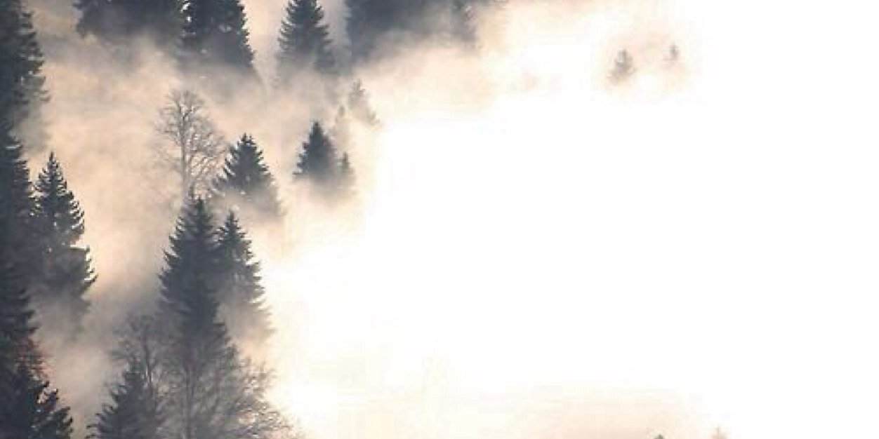 dafakerpayno's profile banner image