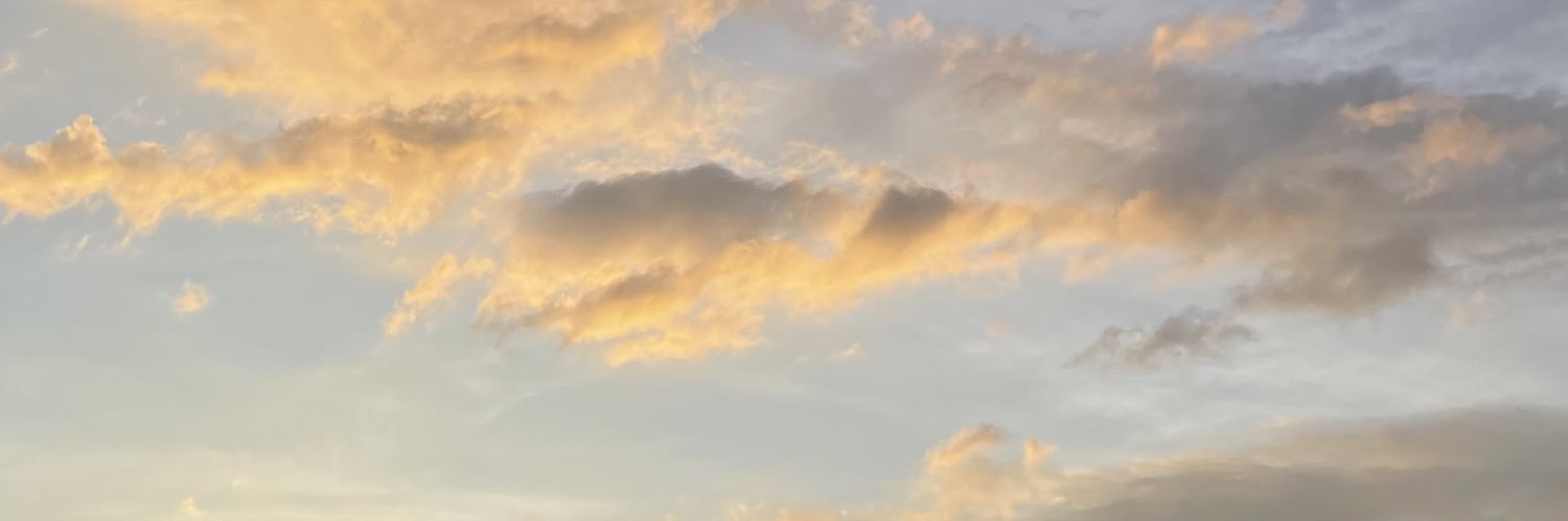 givnap banner