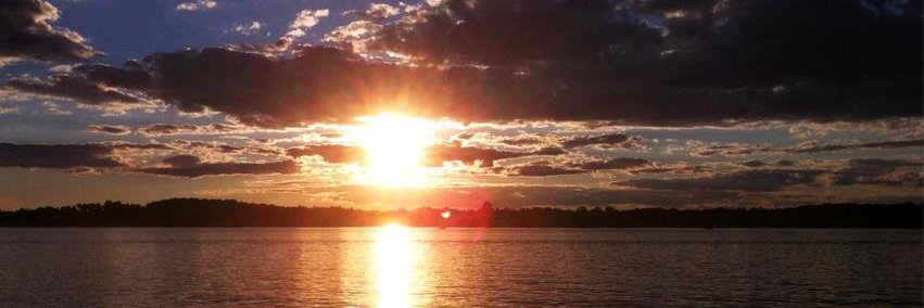 RandyFee's profile banner image
