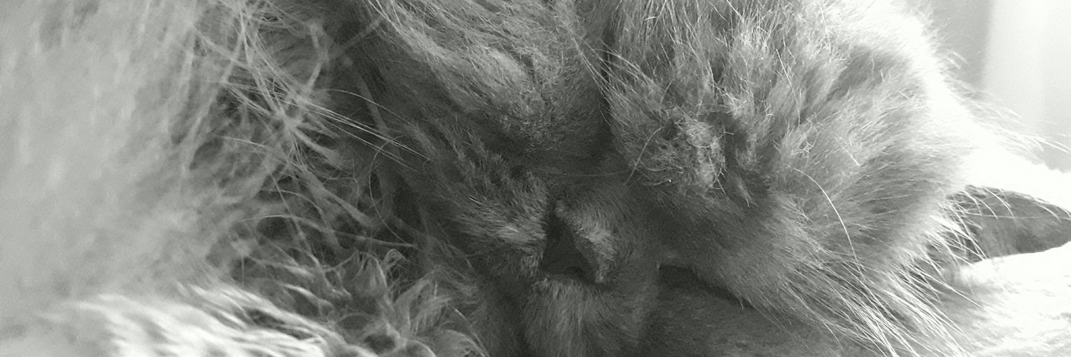 Jeenn0507's profile banner image
