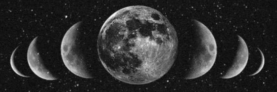 ayeayerica's profile banner image