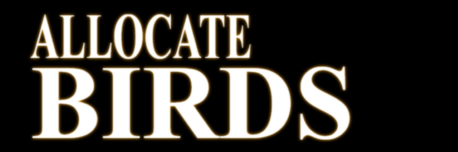allocatebirds's profile banner image