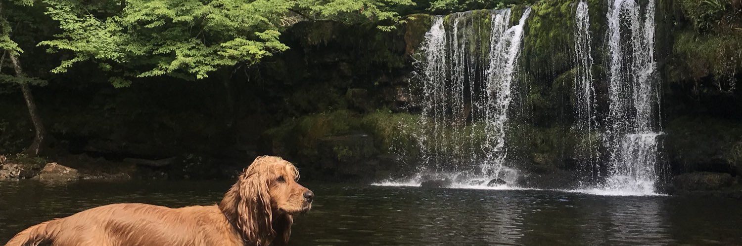 Digby_Rigby's profile banner image