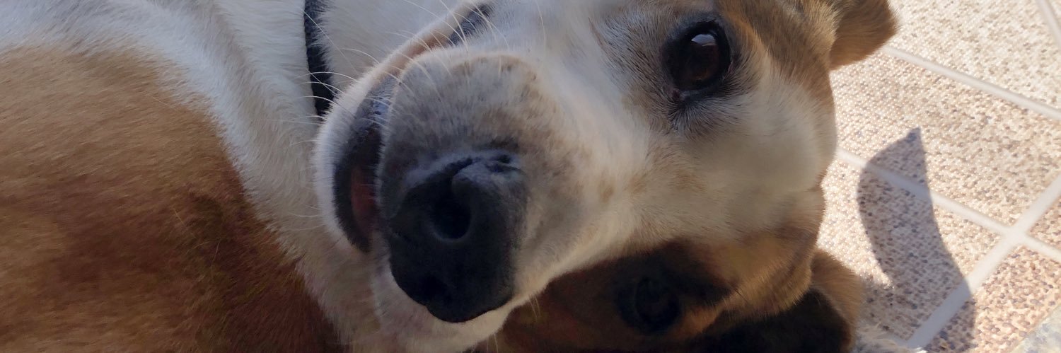crvg7_'s profile banner image