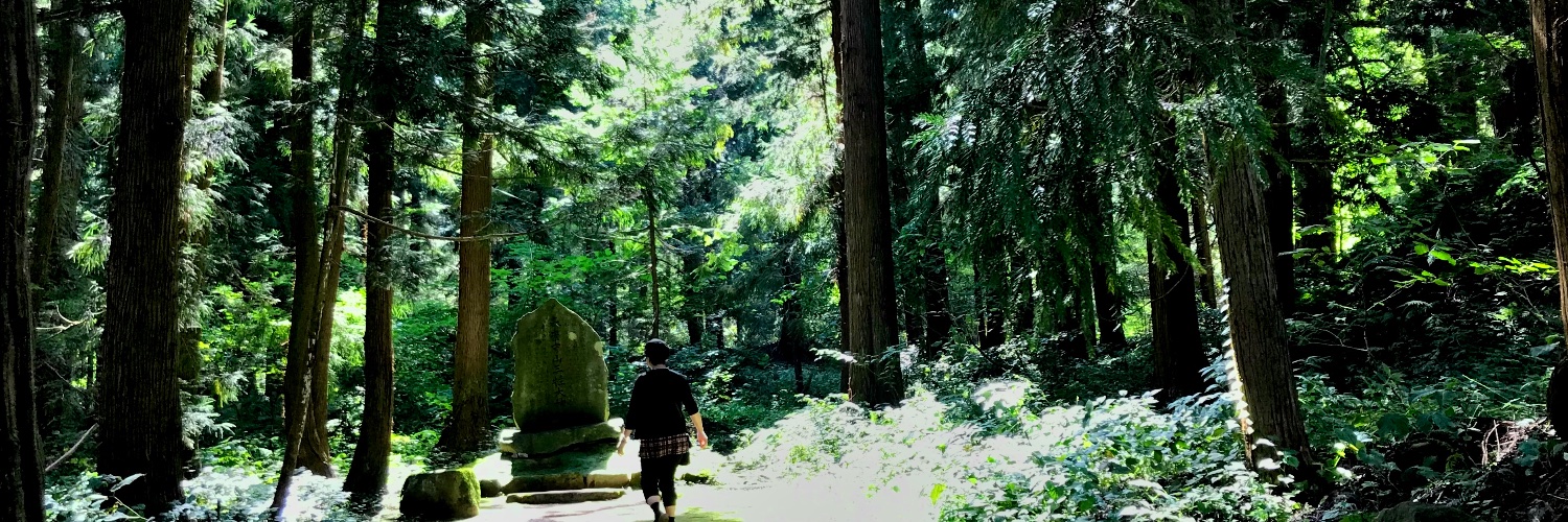 nazonopaama's profile banner image