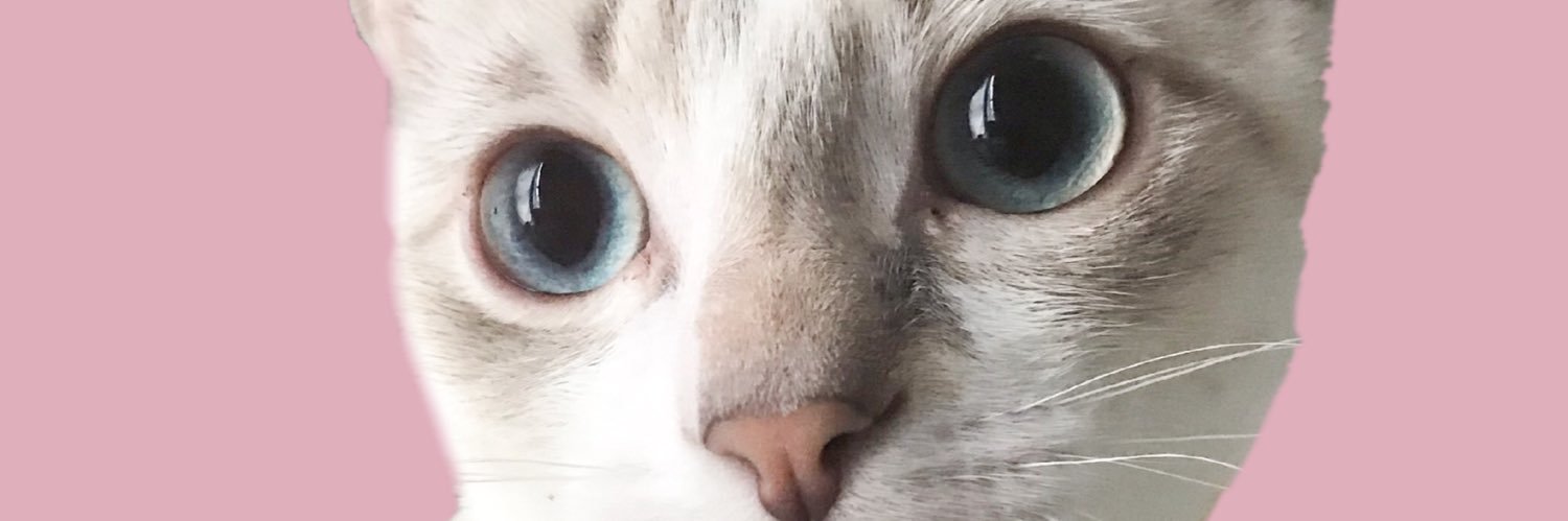 alycatbeckham's profile banner image