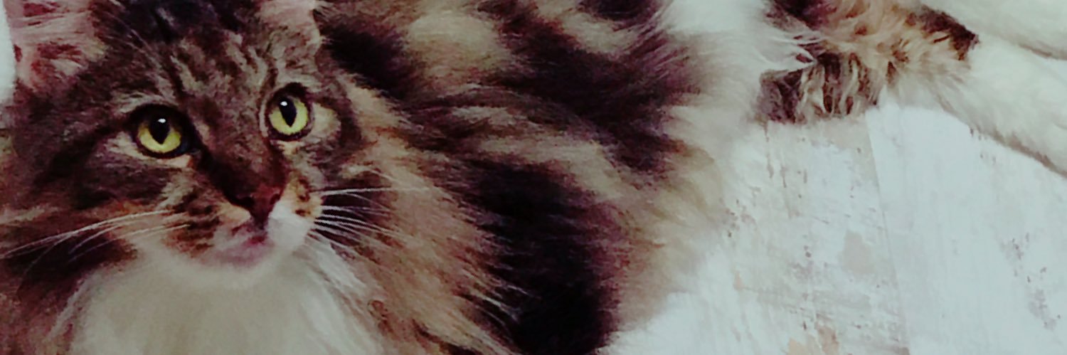 d0kurobe's profile banner image