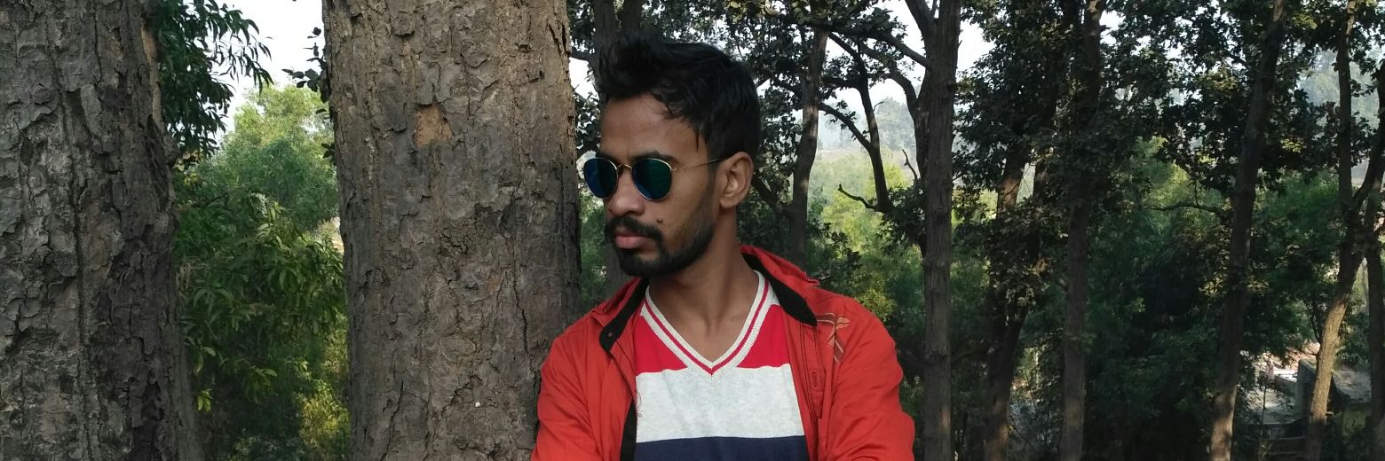 Pareshhalder4's profile banner image