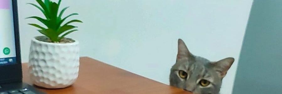 sssbbbb99's profile banner image