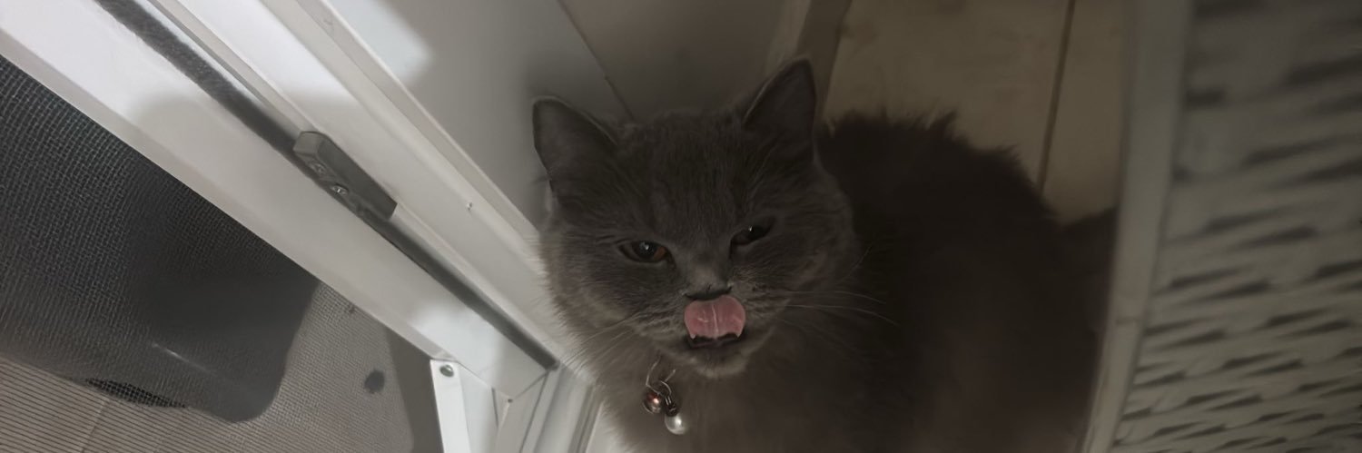 pnarktrcglu's profile banner image