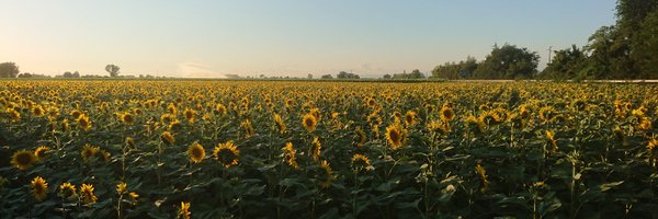 JustOux Profile Banner