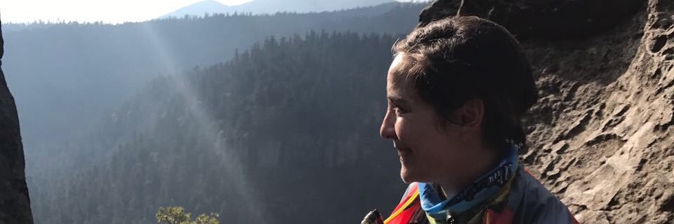 tereitave's profile banner image