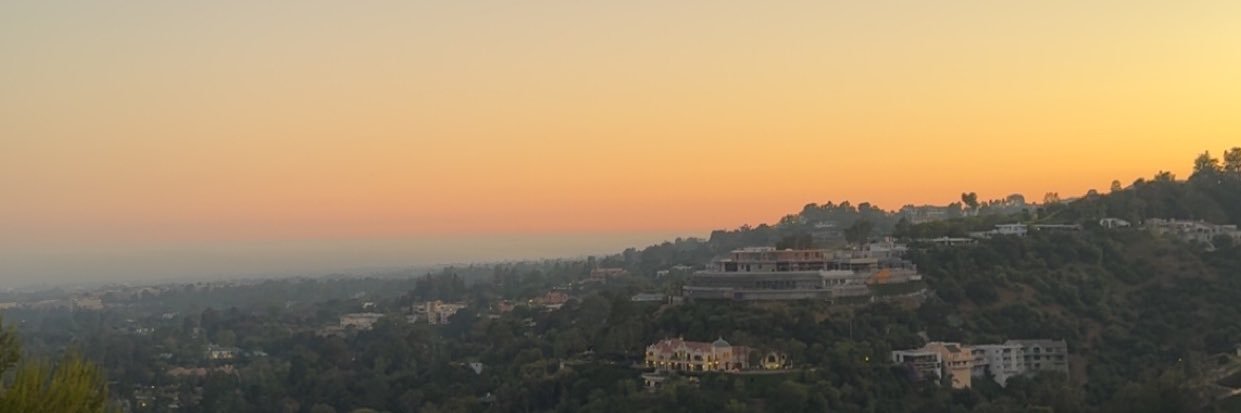 royafreedman's profile banner image