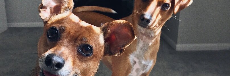 gstarr22's profile banner image