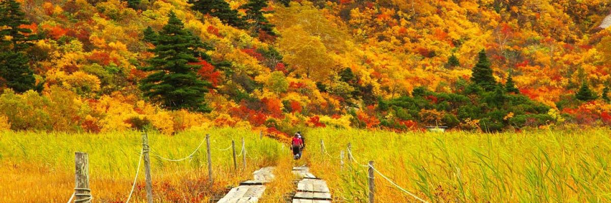 ichi_tabi's profile banner image