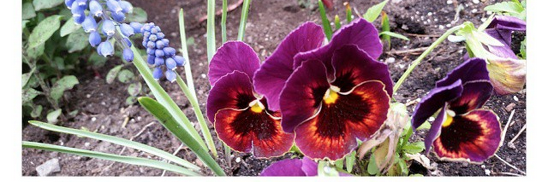 politefight's profile banner image