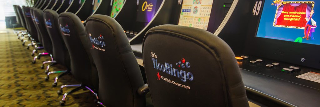 Tico_Bingo's profile banner image